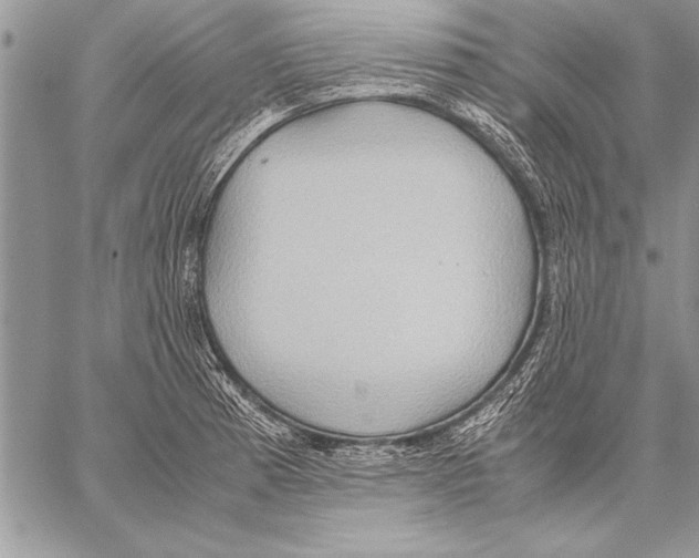 X0000057581185200510171700