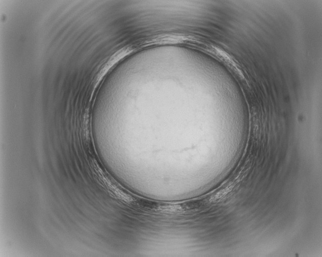 X0000057581186200510171700