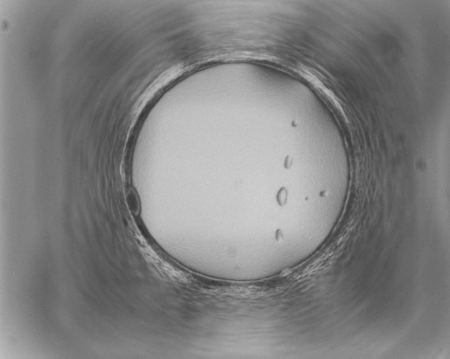 X0000057581189200510171700