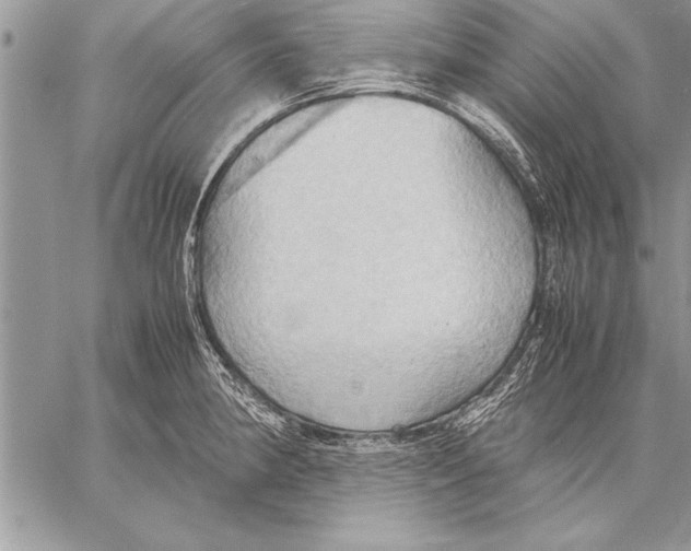 X0000057581190200510171700