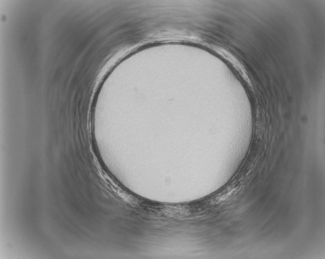 X0000057581191200510171700