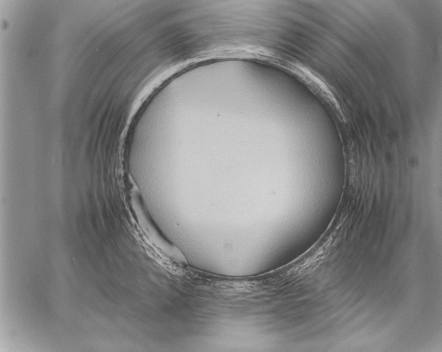 X0000057581192200510171700