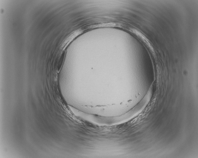 X0000057581193200510171700