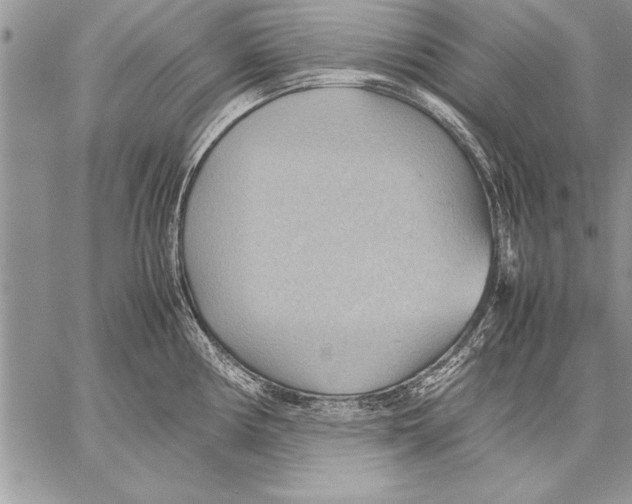 X0000057581194200510171700