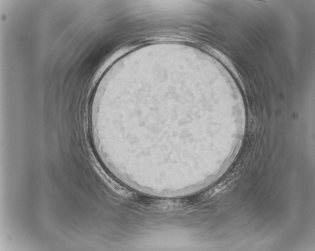 X0000057581195200510171700