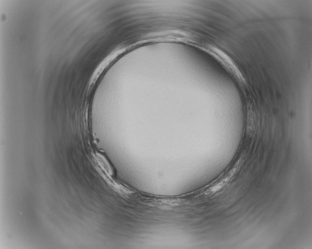 X0000057581196200510171700