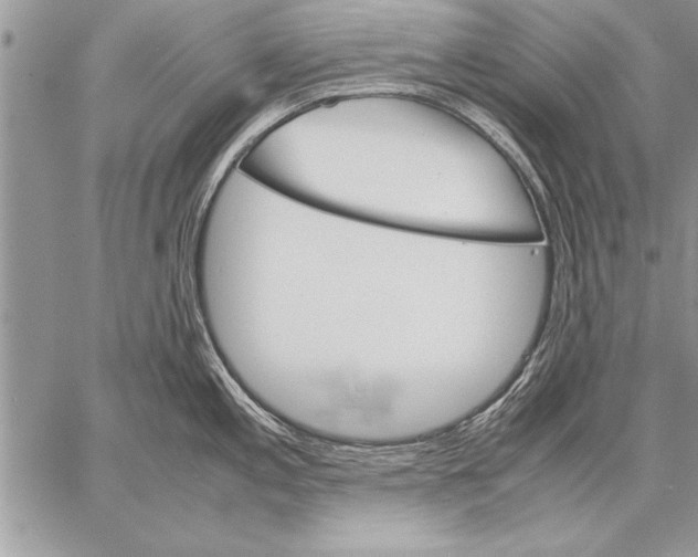 X0000057581197200510171700