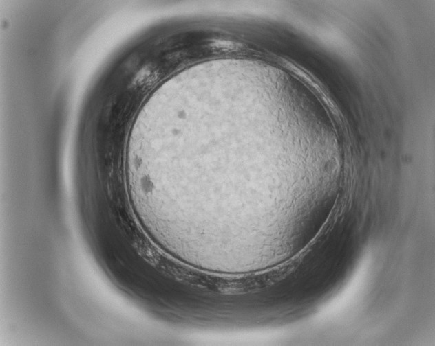 X0000057581199200510171700