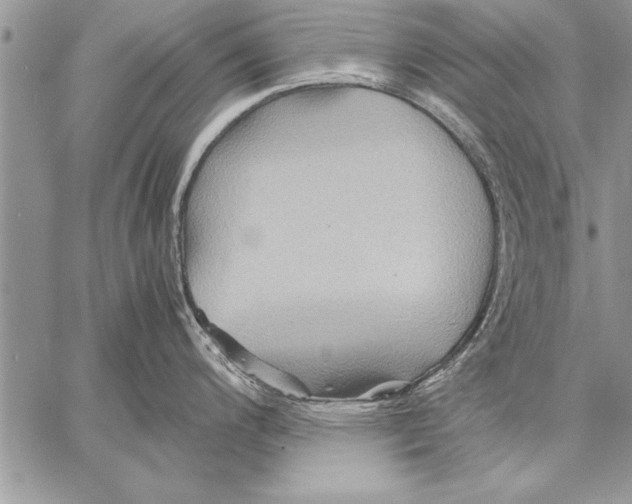 X0000057581200200510171700