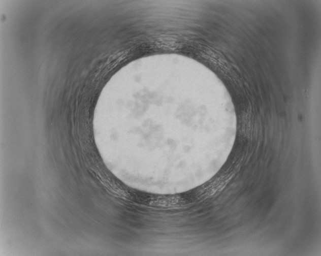 X0000057581201200510171659