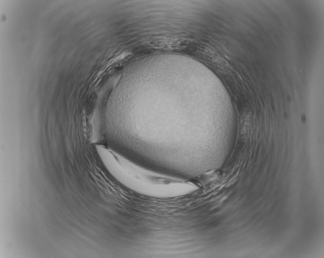 X0000057581202200510171659