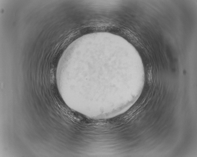 X0000057581204200510171659