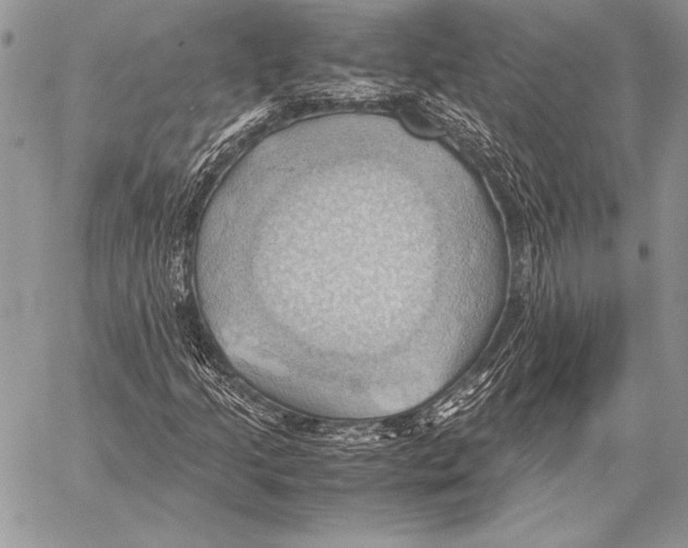 X0000057581205200510171659