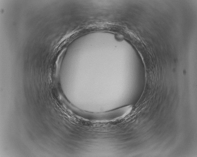 X0000057581206200510171659