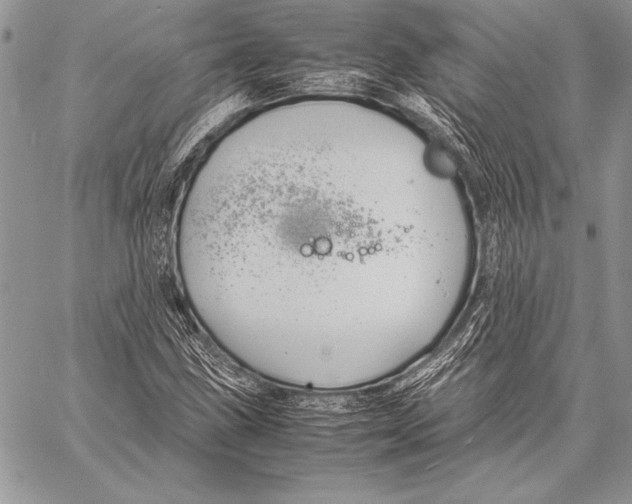 X0000057581211200510171659