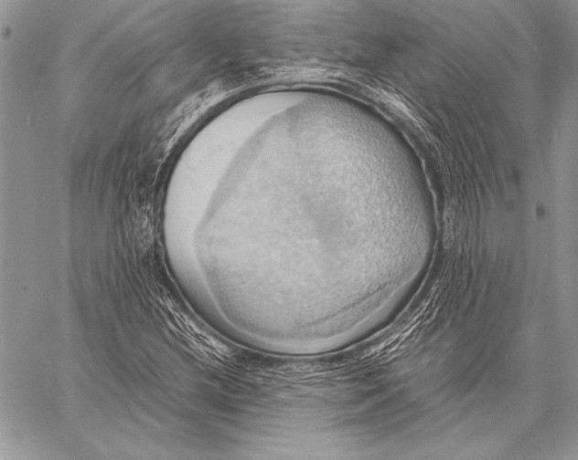 X0000057581212200510171659