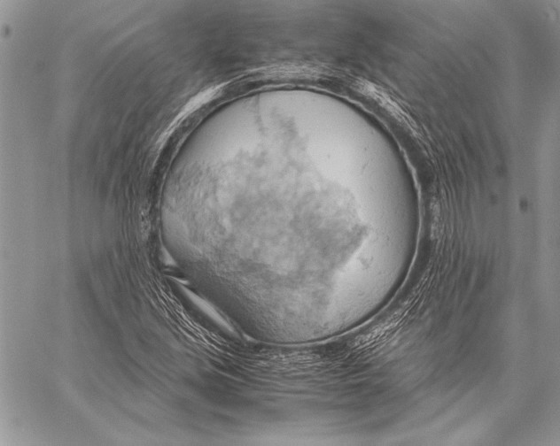 X0000057581213200510171659