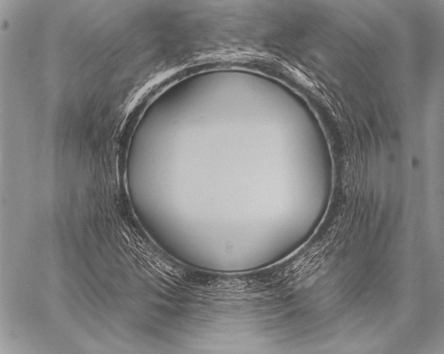 X0000057581214200510171659