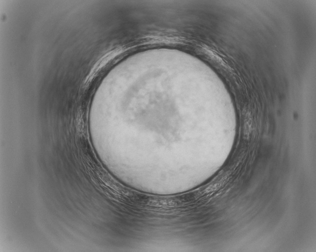 X0000057581215200510171659