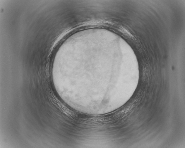 X0000057581216200510171659