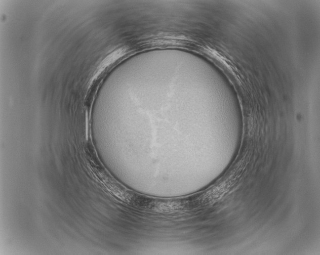 X0000057581219200510171659