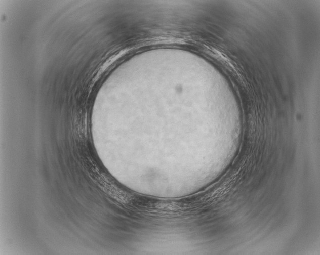 X0000057581220200510171659