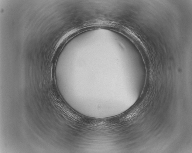 X0000057581222200510171659