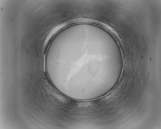 X0000057581223200510171659