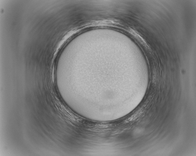 X0000057581224200510171659