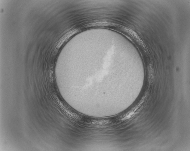 X0000057581225200510171659