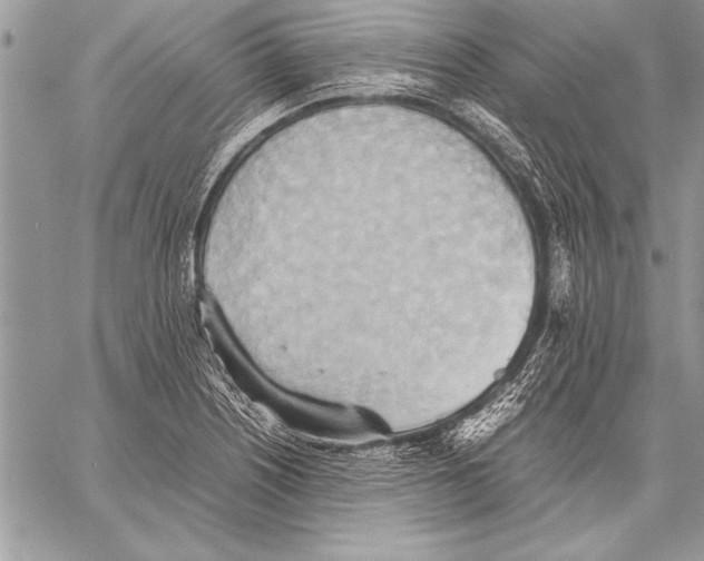 X0000057581226200510171659