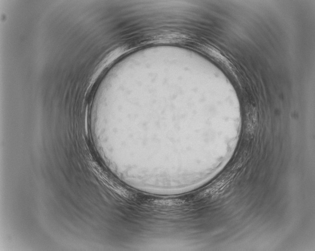 X0000057581227200510171659