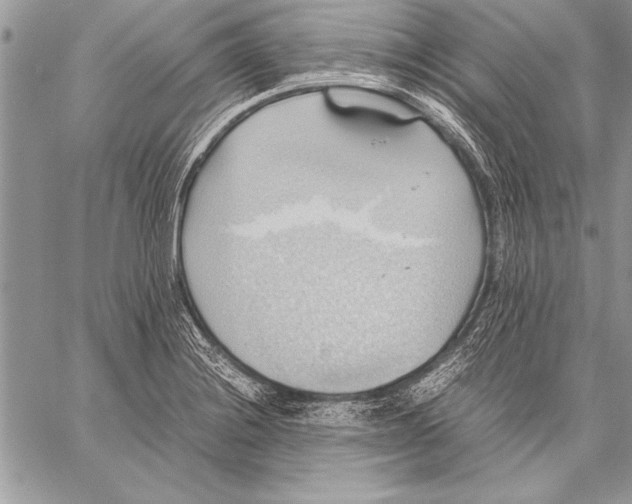 X0000057581228200510171659