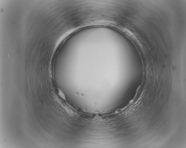 X0000057581230200510171659