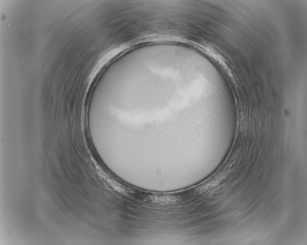 X0000057581231200510171659