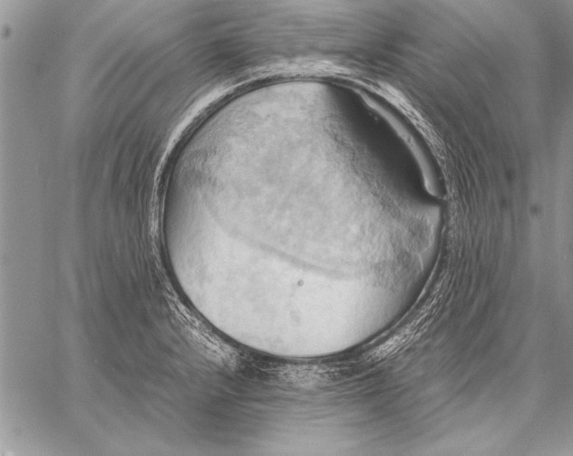 X0000057581232200510171659