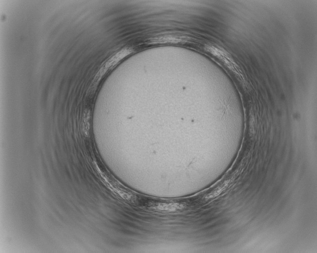 X0000057581233200510171659