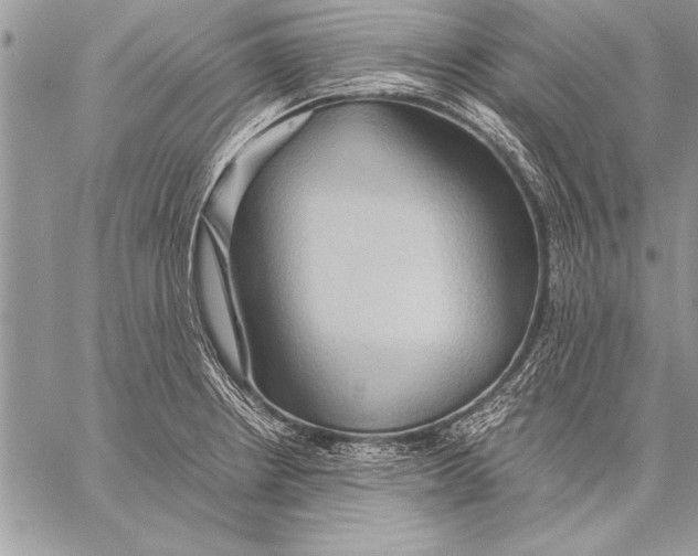 X0000057581234200510171659