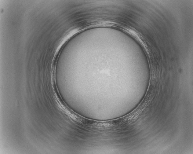 X0000057581235200510171659