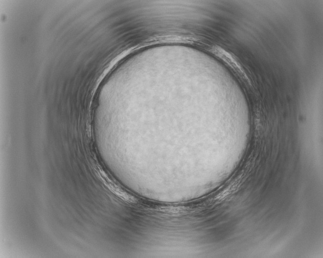 X0000057581236200510171659