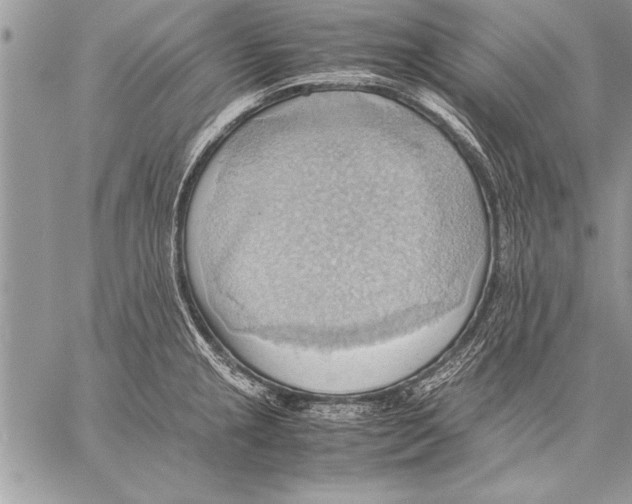 X0000057581237200510171659