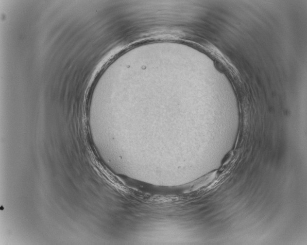 X0000057581240200510171659