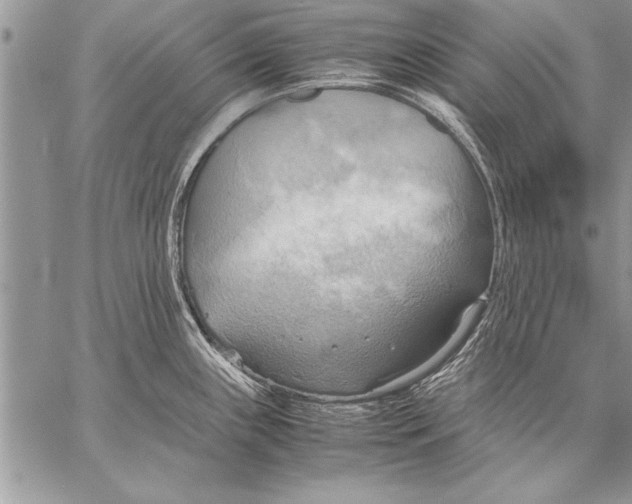 X0000057581243200510171700