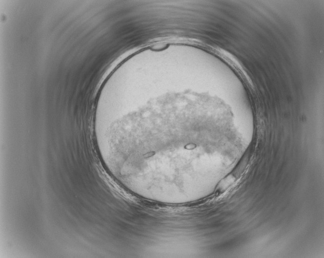 X0000057581244200510171700