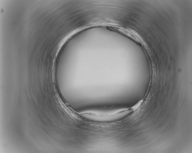 X0000057581246200510171700