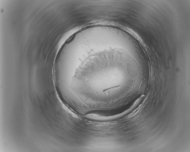 X0000057581247200510171700