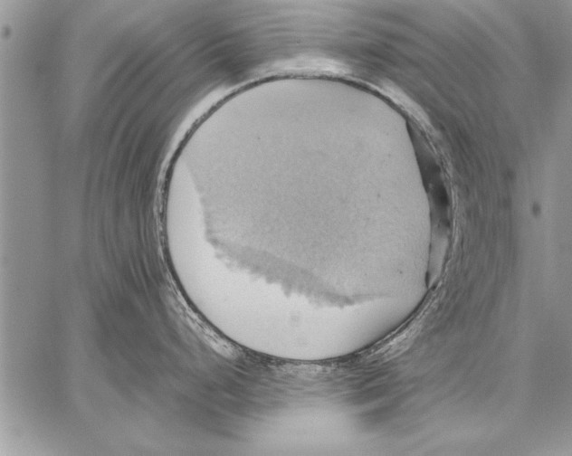 X0000057581248200510171700