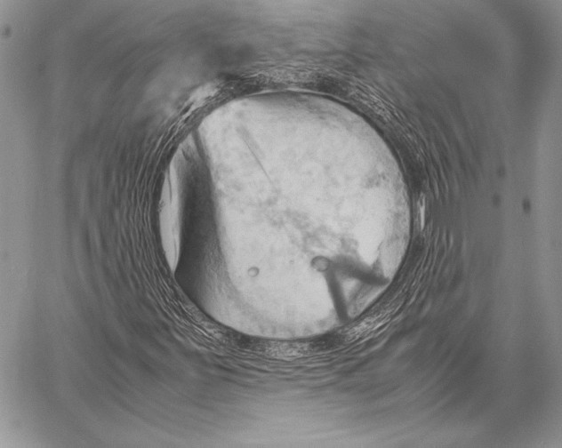 X0000057581251200510171659