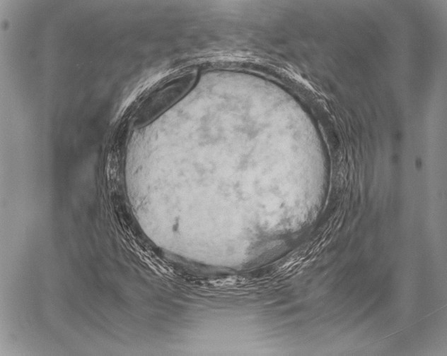 X0000057581255200510171659