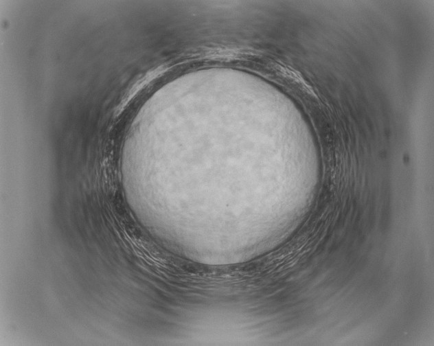 X0000057581256200510171659